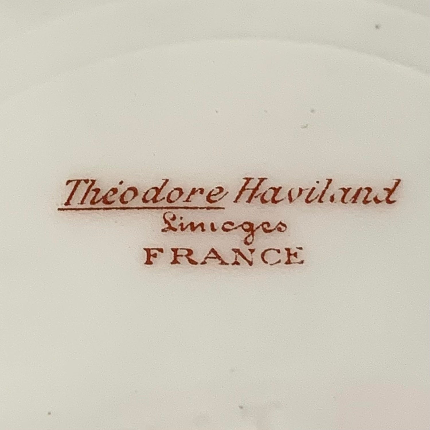 Vajilla de porcelana francesa Limoge "Theodore Haviland" SXX