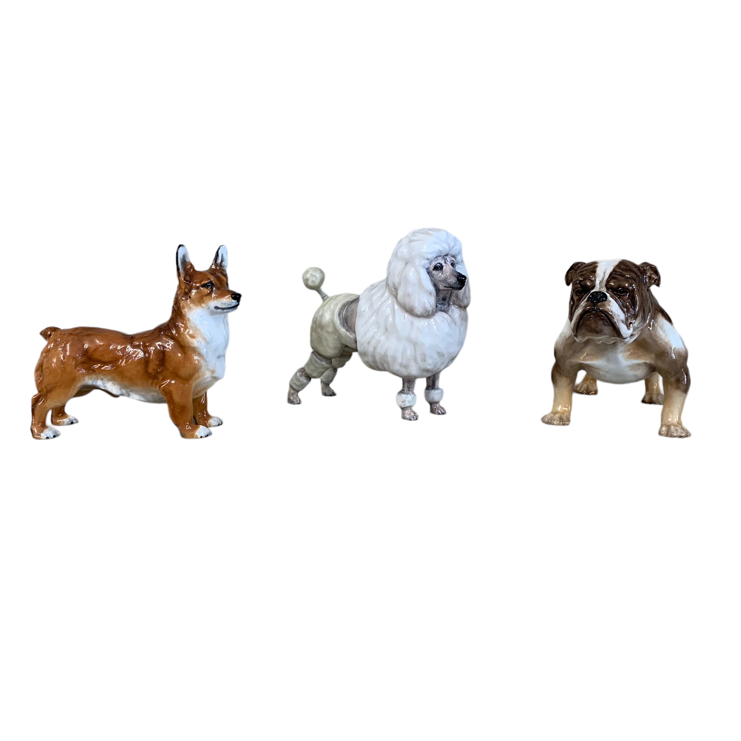 Perro firmado Royal Doulton. SXX (Valor unitario)