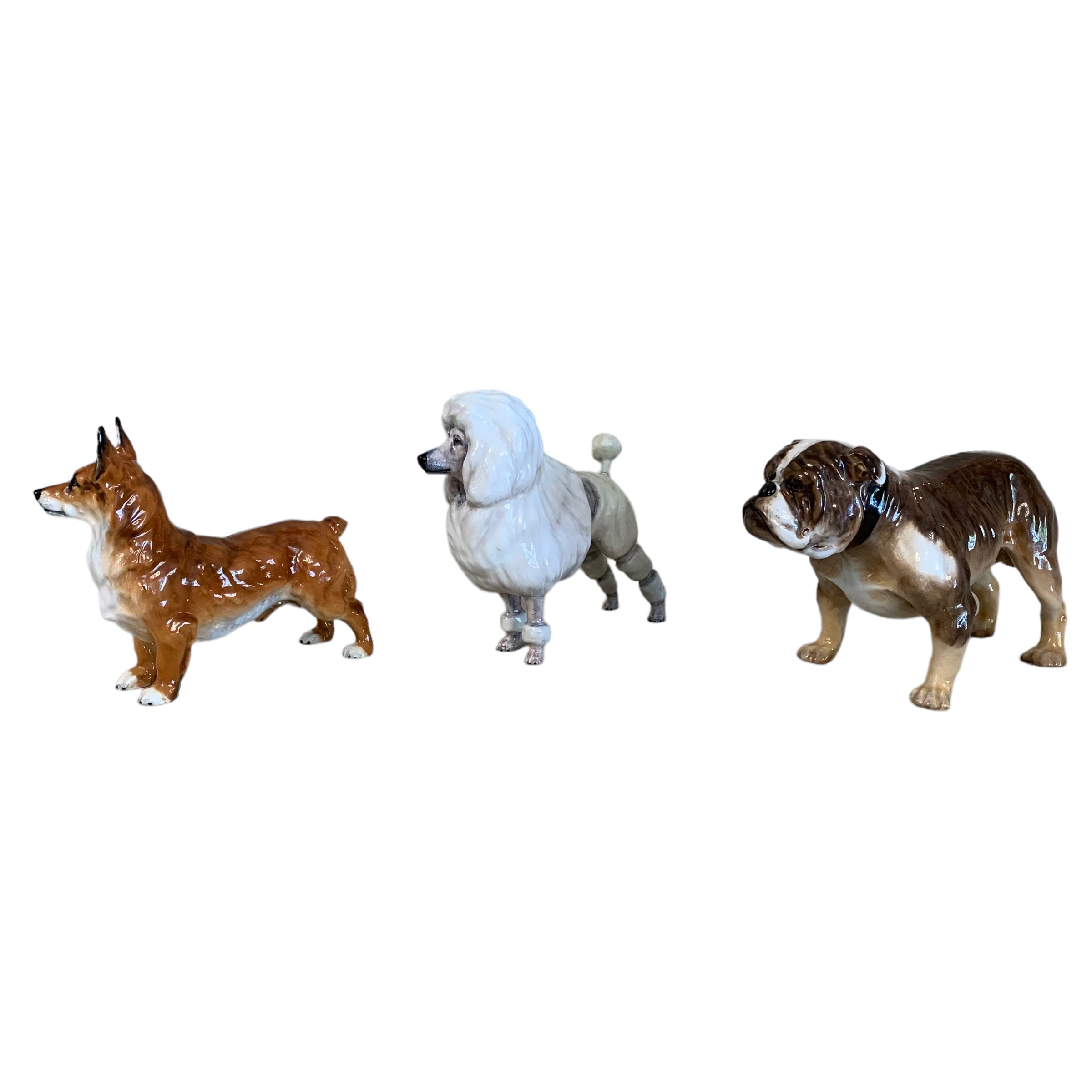 Perro firmado Royal Doulton. SXX (Valor unitario)