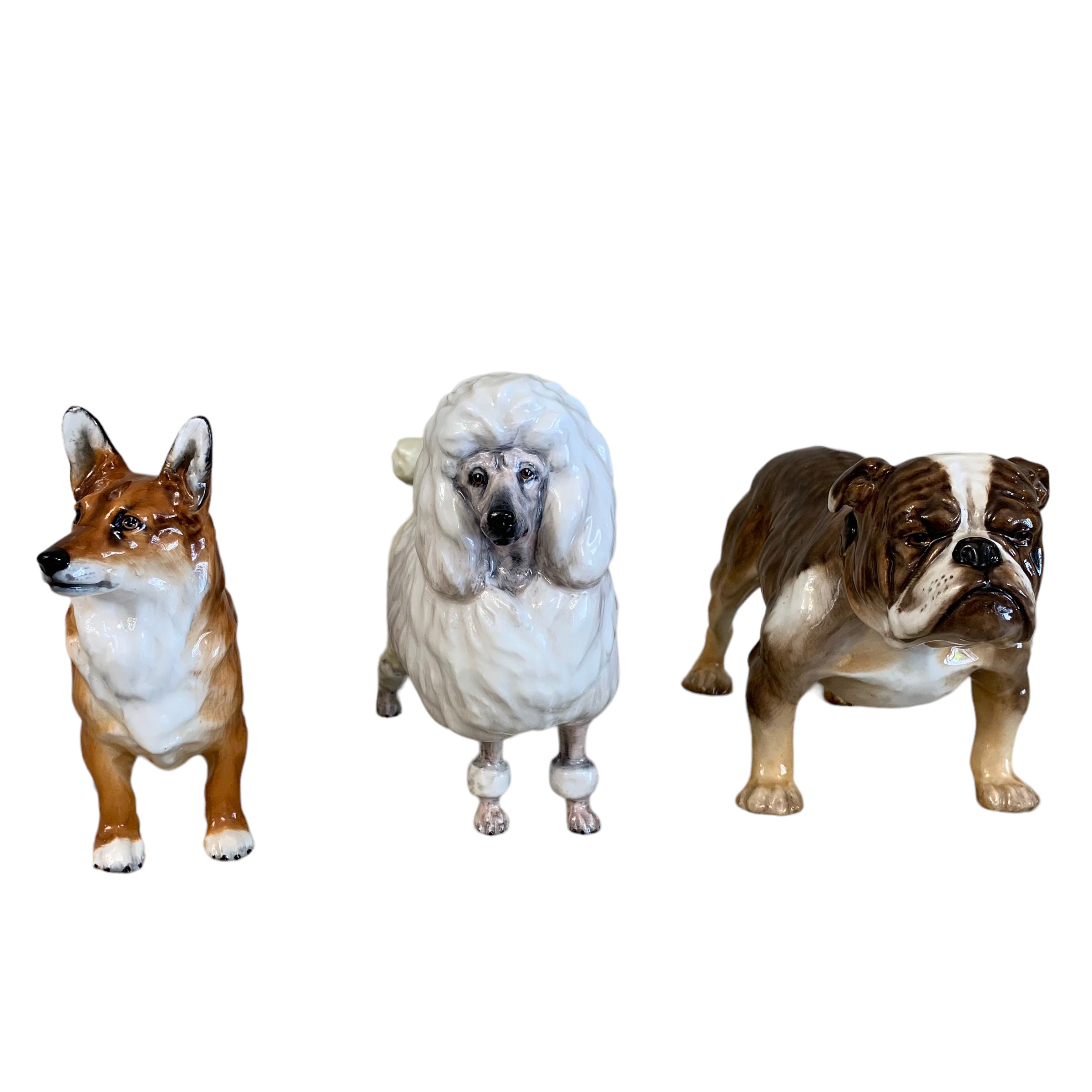 Perro firmado Royal Doulton. SXX (Valor unitario)