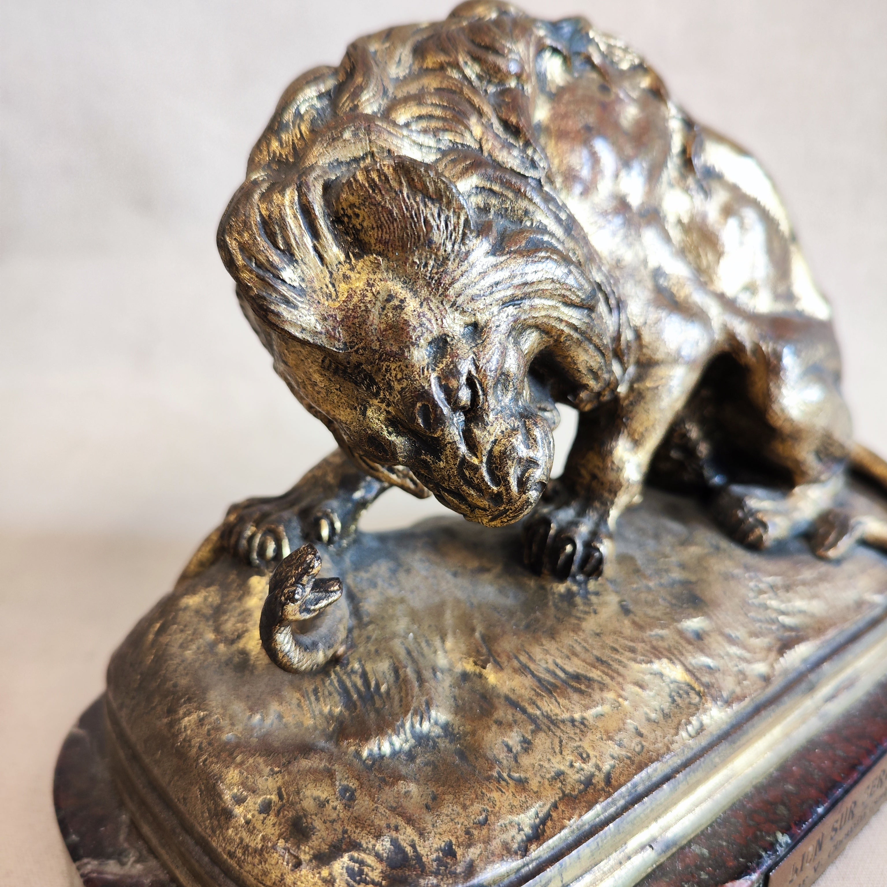Leon de bronce. Victor Chemin (1823-1901). Francia. SXIX