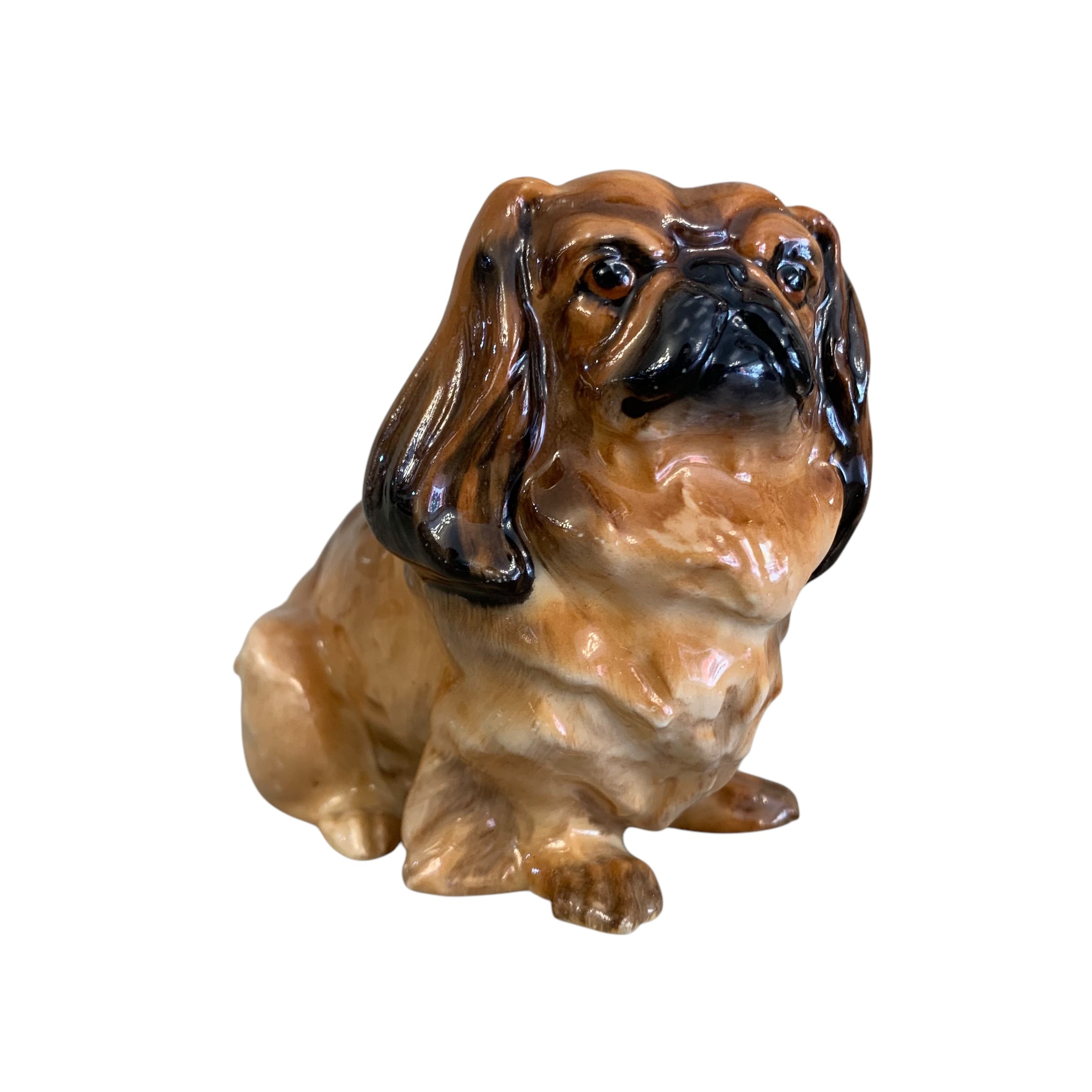 Perro porcelana inglesa Royal Doulton. SXX