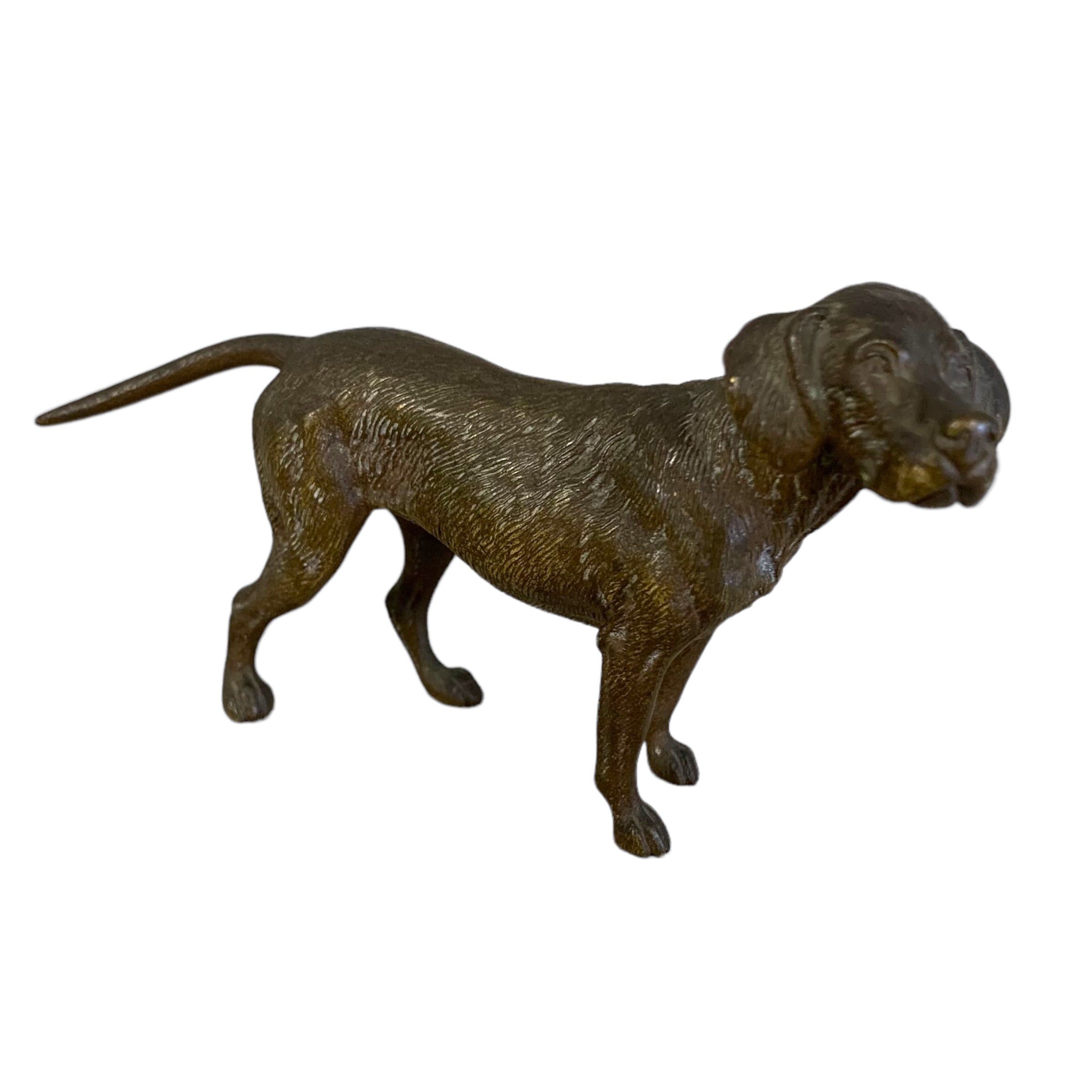 Bronce vienes perro de caza. Principio SXIX