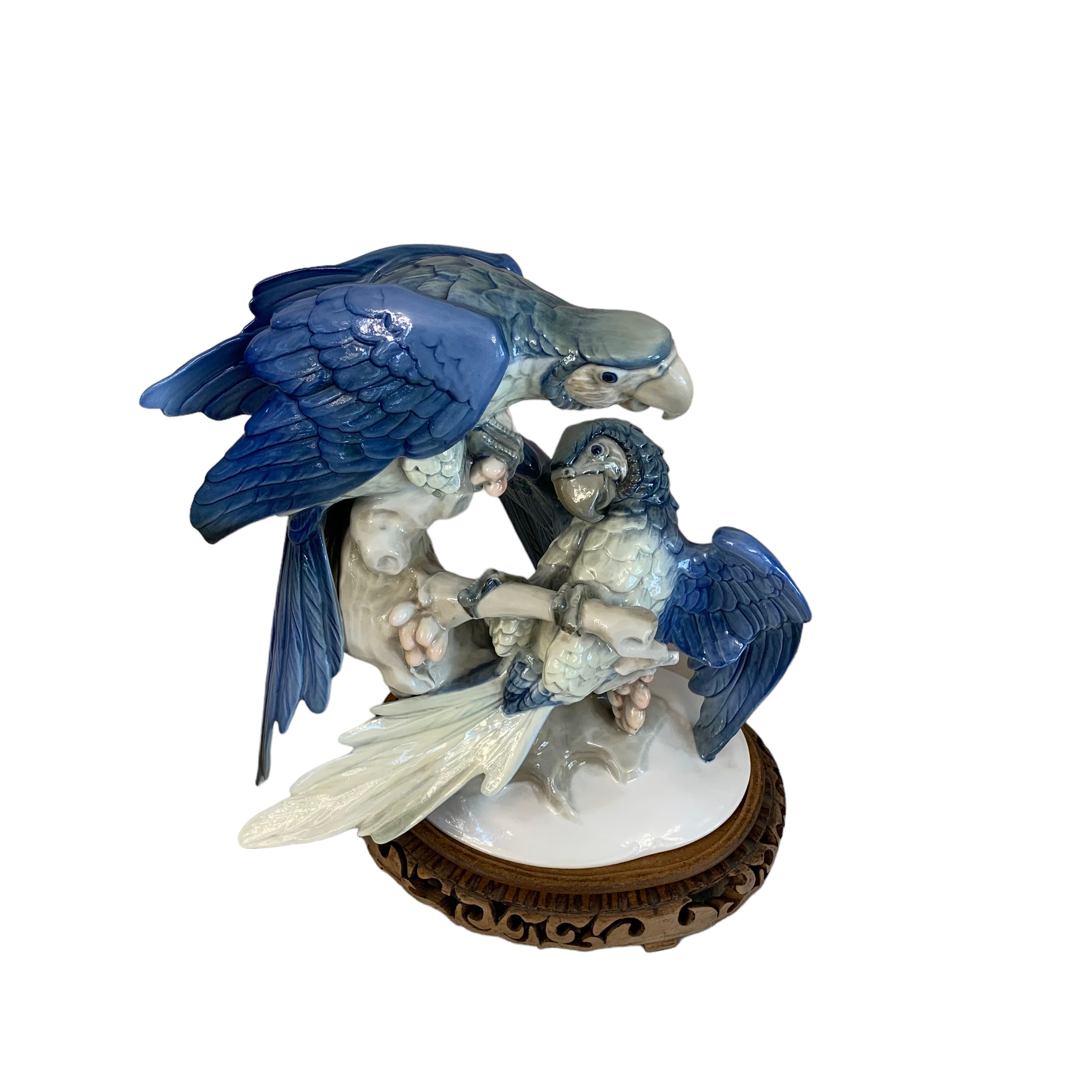Par de papagayos de porcelana alemana Hutschenreuther. SXX