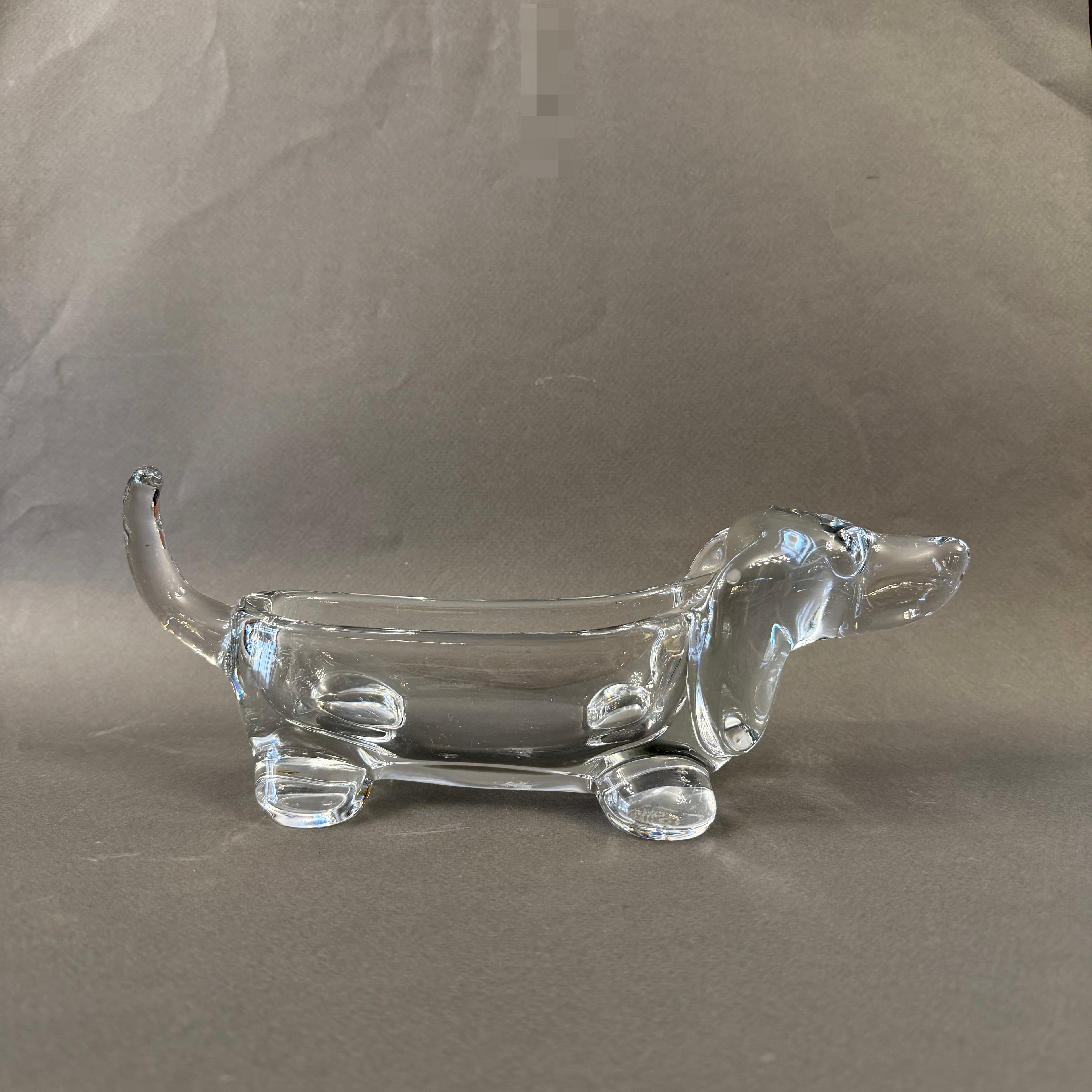 Perro salchicha de cristal francés Vannes-le-Chatel . Francia SXX