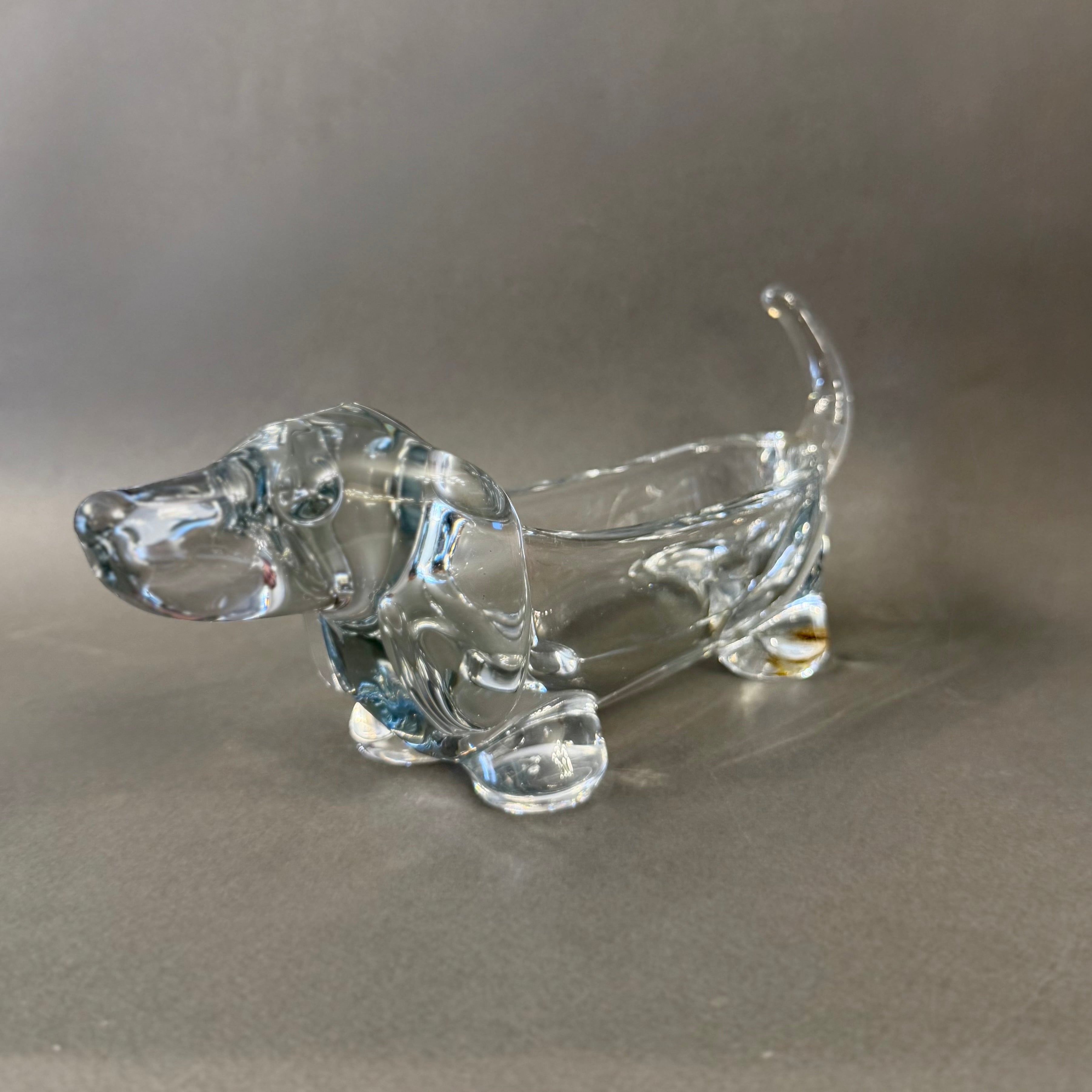Perro salchicha de cristal francés Vannes-le-Chatel . Francia SXX
