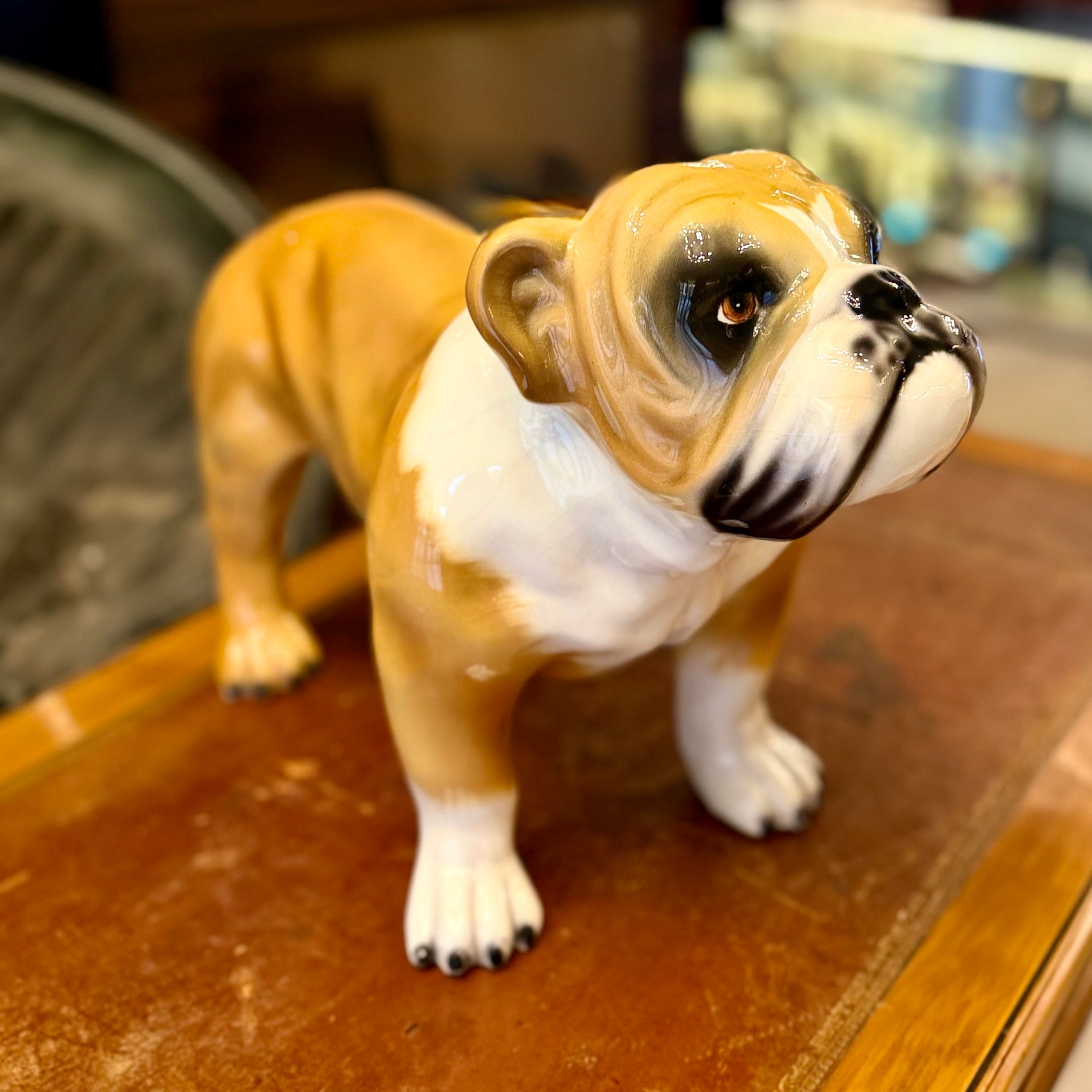 Bulldog de porcelana diseño italiano. Italia SXX