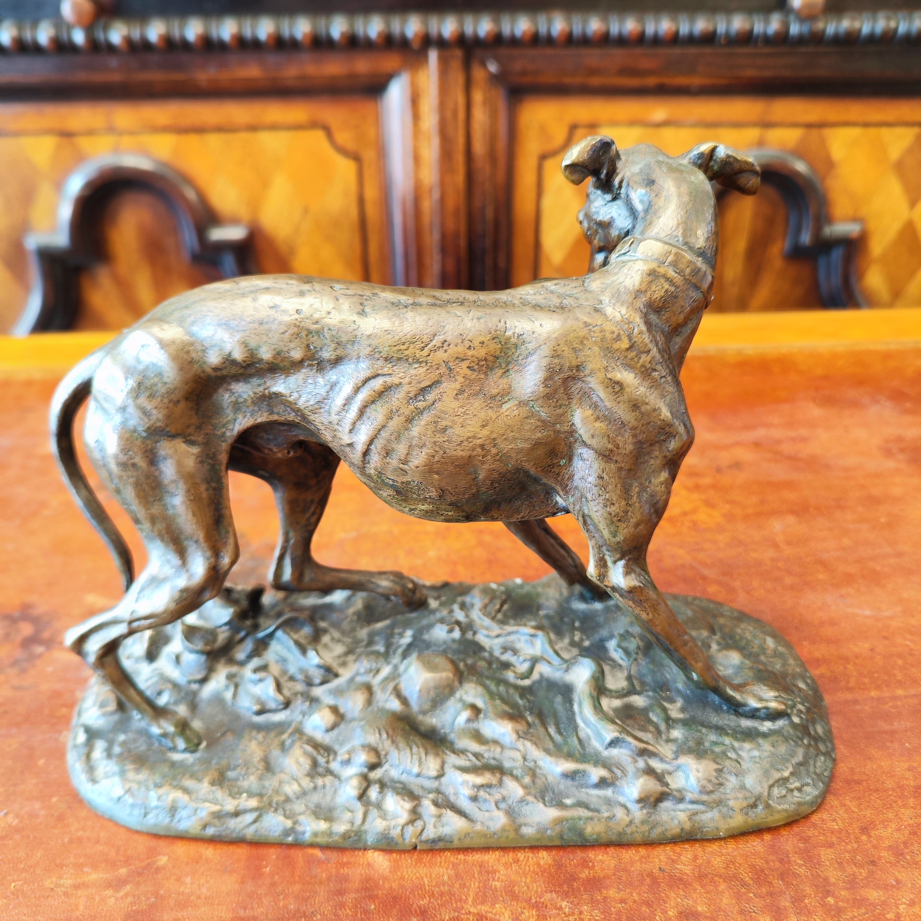 Galgo de bronce firmado Thomas Francois Cratier. Francia SXIX