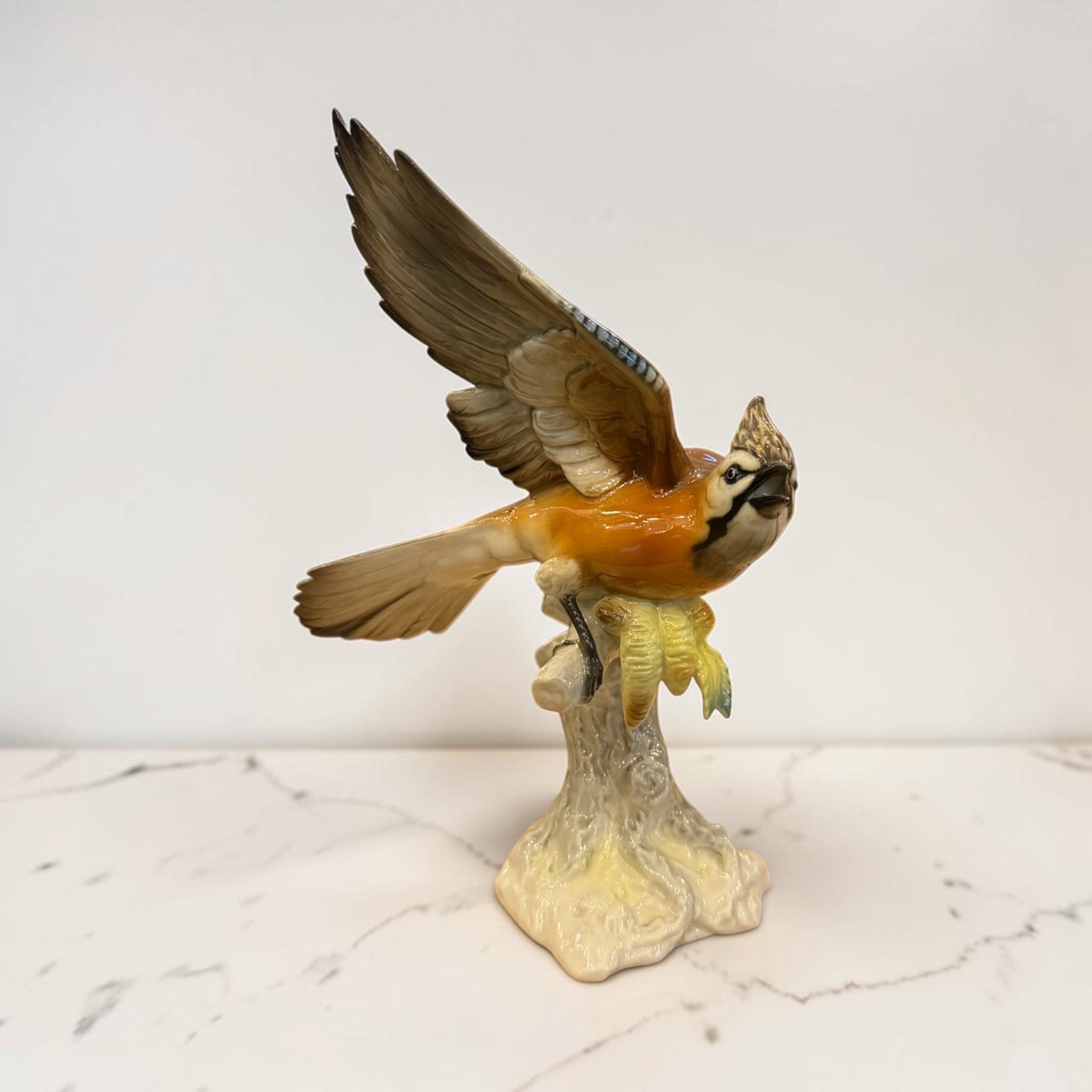 Pajaro de porcelana alemana Hutschenreuther. Alemania SXX