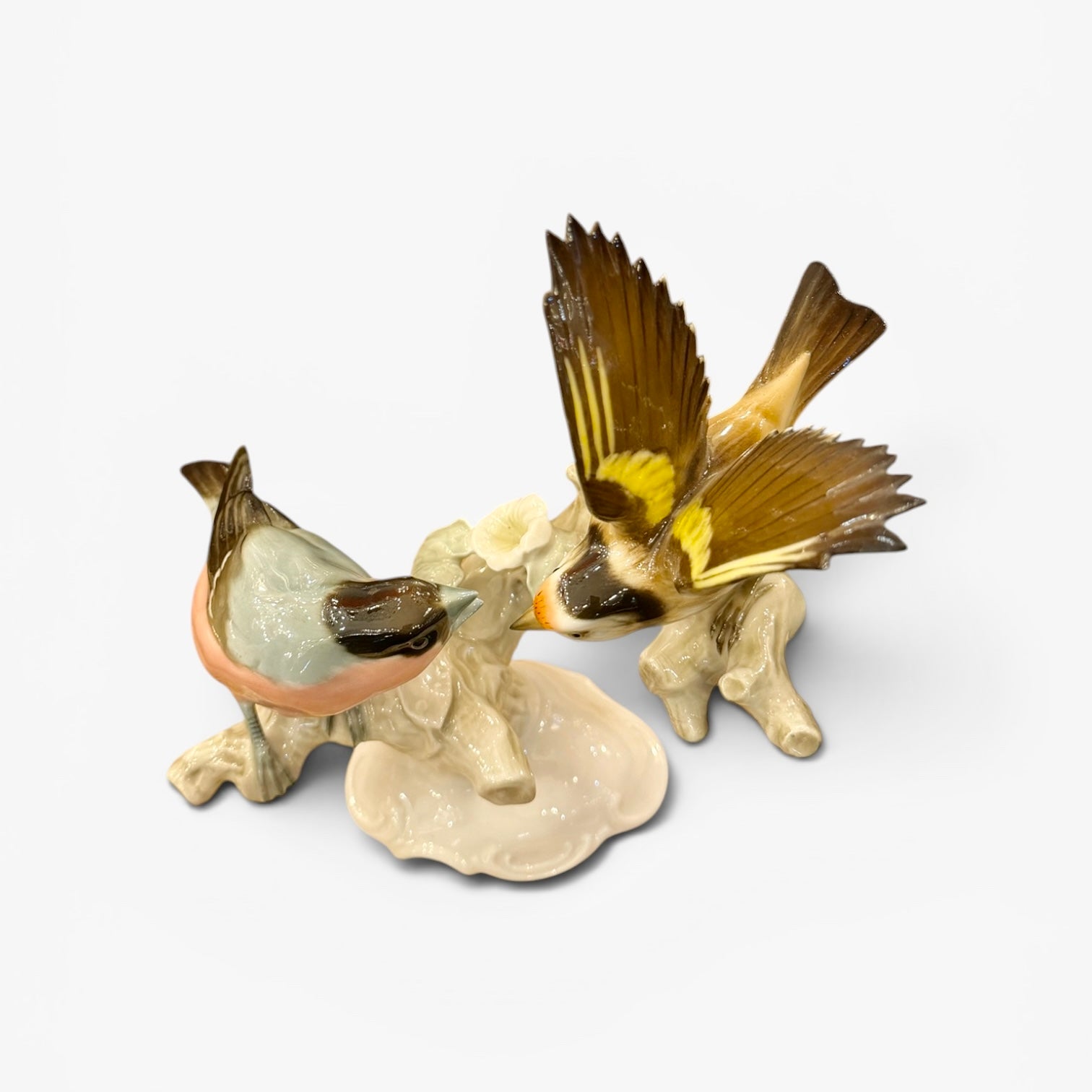 Figuras pájaros porcelana alemana Hutschenreuther. Alemania SXX