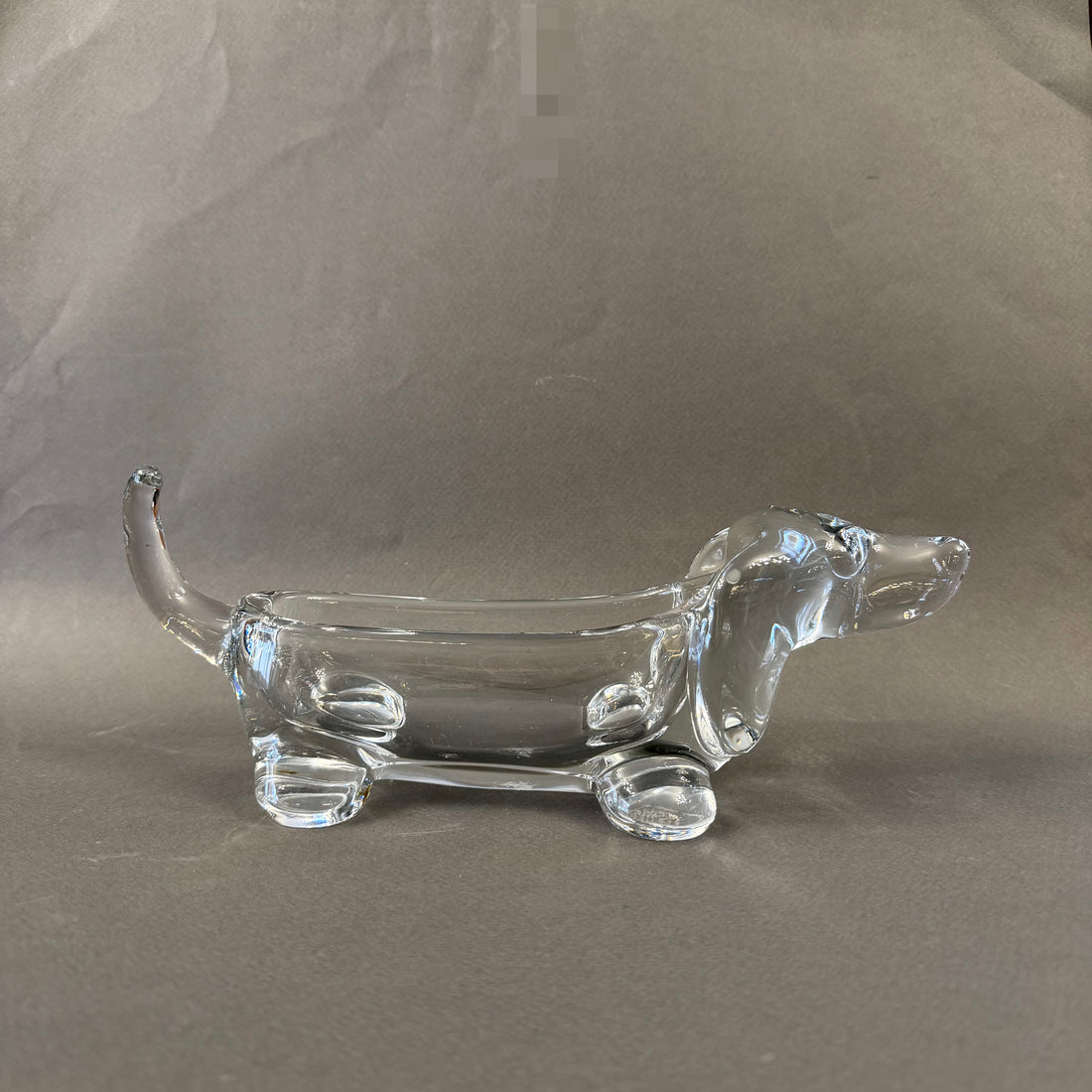 Perro salchicha de cristal francés Vannes-le-Chatel . Francia SXX