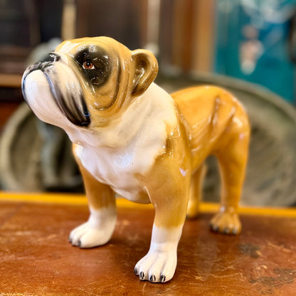 Bulldog de porcelana diseño italiano. Italia SXX