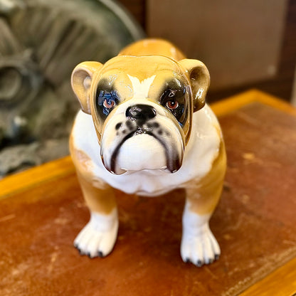 Bulldog de porcelana diseño italiano. Italia SXX