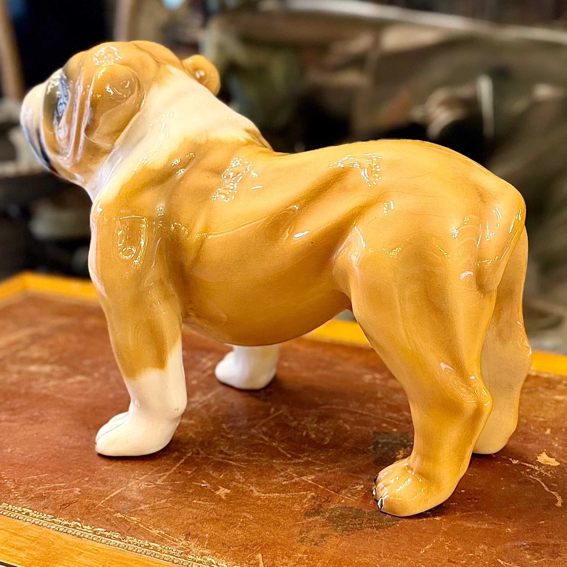 Bulldog de porcelana diseño italiano. Italia SXX
