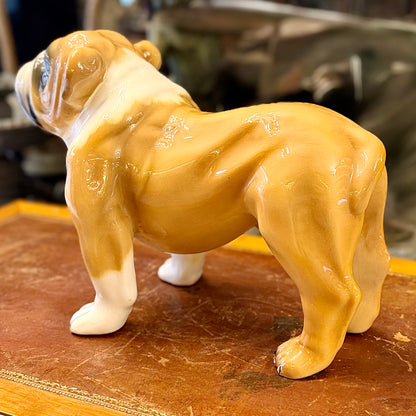 Bulldog de porcelana diseño italiano. Italia SXX