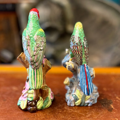 Pareja de loros de porcelana alemanes. Alemania SXIX