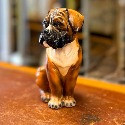 Cachorro Bullmastiff de porcelana diseño italiano. Italia SXX