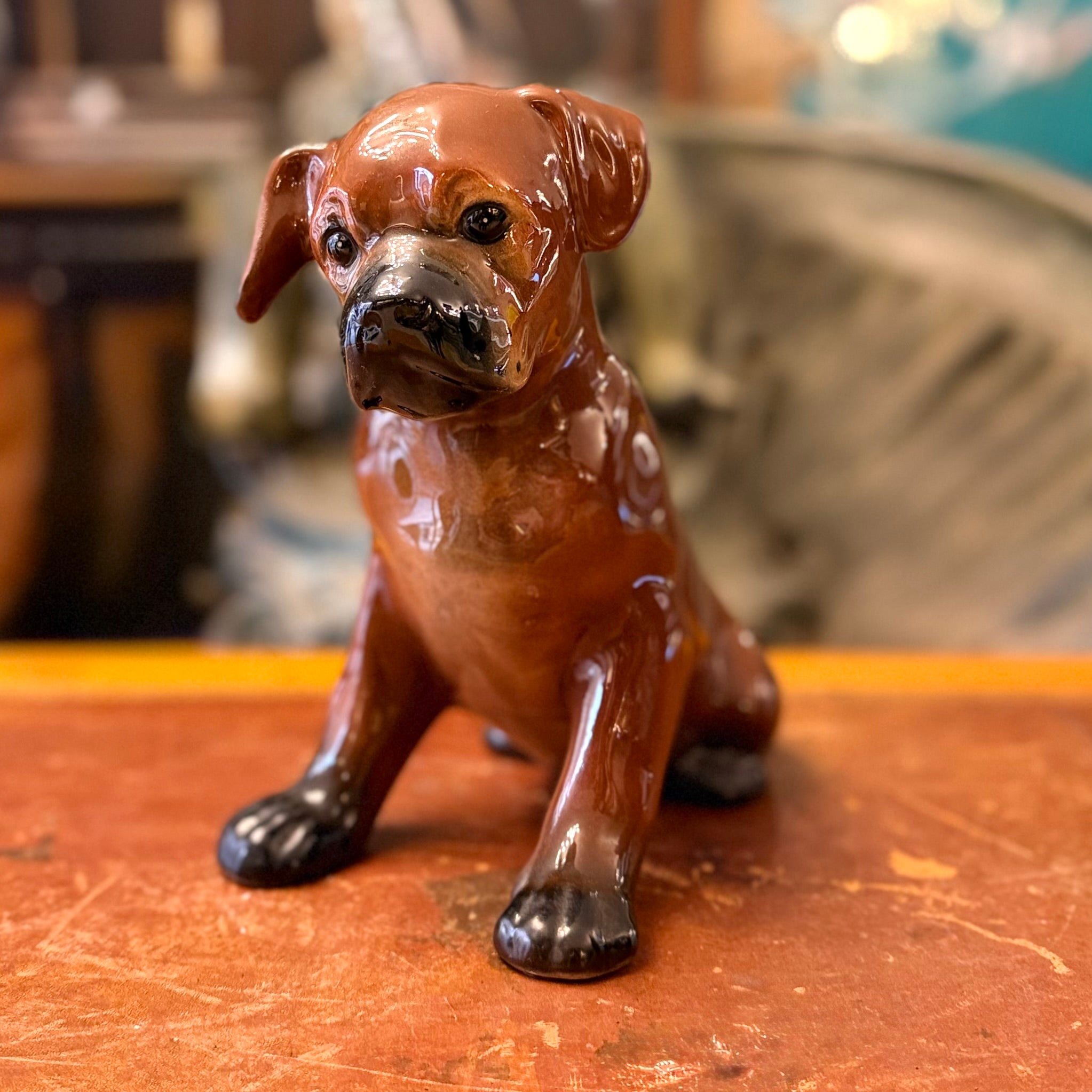 Cachorro Boxer de porcelana diseño italiano. Italia SXX