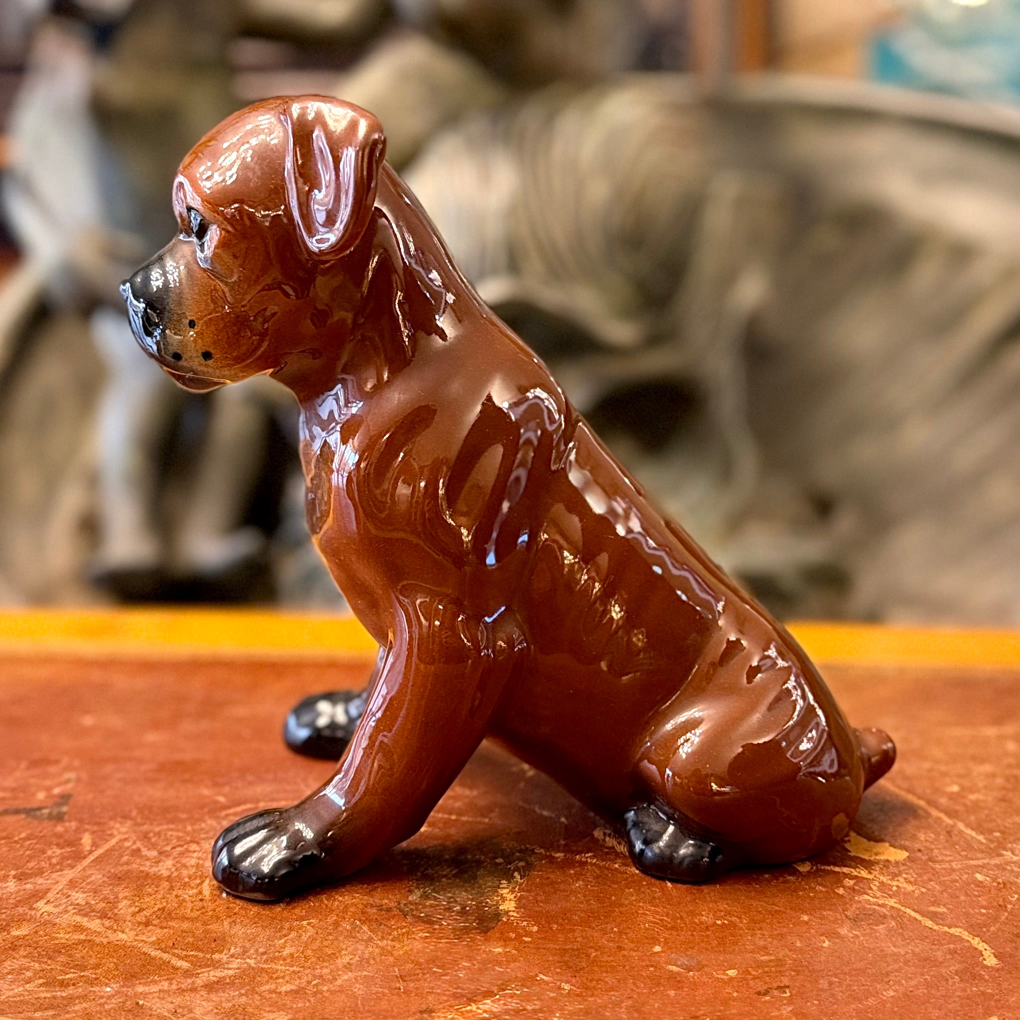 Cachorro Boxer de porcelana diseño italiano. Italia SXX
