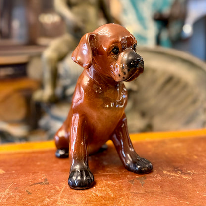 Cachorro Boxer de porcelana diseño italiano. Italia SXX