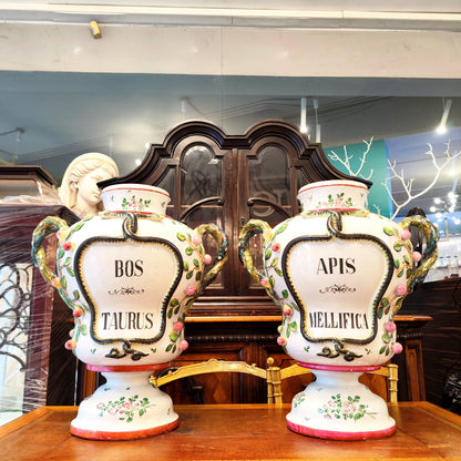 Gran par de frascos de farmacia con ramas de higos. Francia SXIX