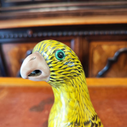 Loro chino amarillo imperial. China SXIX