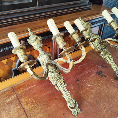 Par de apliques en bronce ormolu Luis XVI. Francia SXVIII