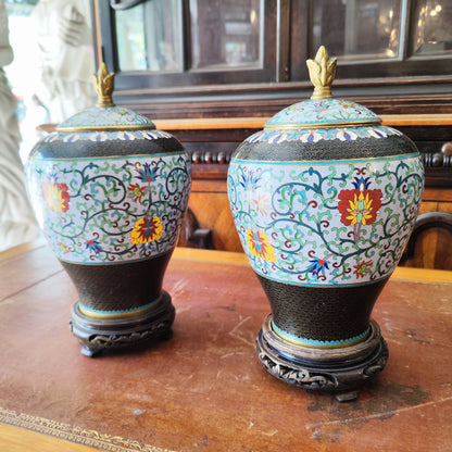 Par de jarros de jengibre japonese Meiji. Japon SXIX