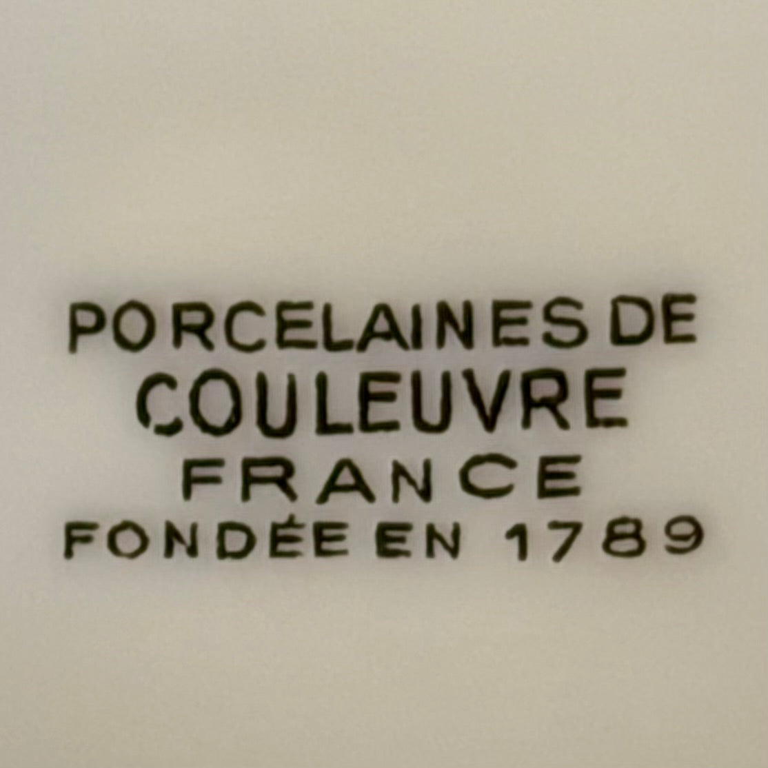 vajilla de porcelana francesa Couleuvre France modelo "Limoise". Francia SXIX