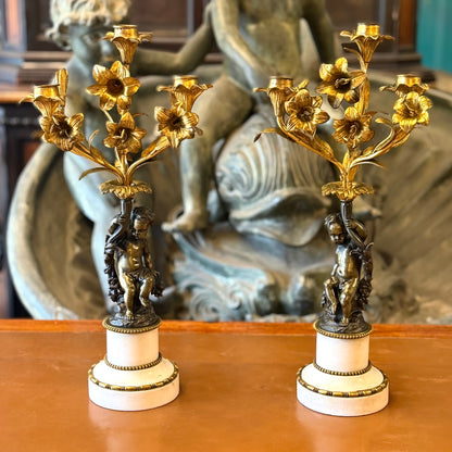 Par de candelabros de orquídeas bronce ormolú y puttis. francia SXIX